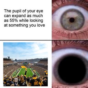 Image post by @steelers on Instagram