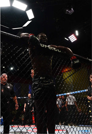 Video post by @ufc on TikTok