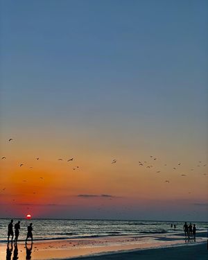 Image post by @visitsarasotacounty on Instagram