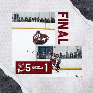 Image post by @cockhockey on Instagram
