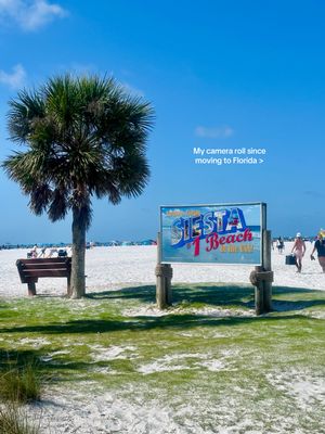 Video post by @madisonmiller555 on TikTok