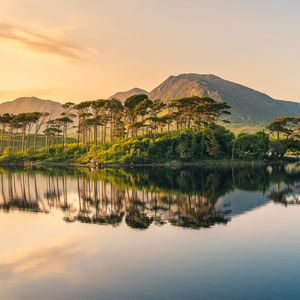 Image post by @discovery on Instagram