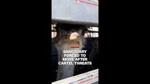 Video post by @cnn on YouTube