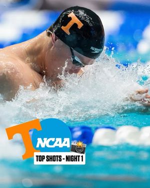Image post by @vol_swimdive on Instagram
