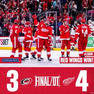Image post by @detroitredwings on Instagram