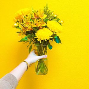 Image post by @krogerco on Instagram