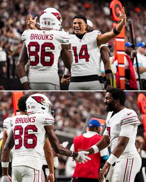 Image post by @AZCardinals on Twitter