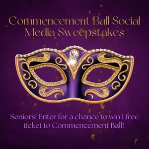 Image post by @currysga2023 on Instagram