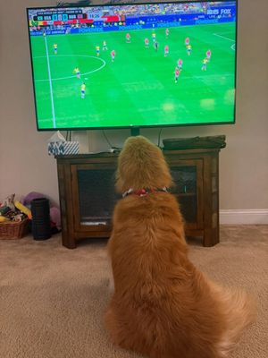 Image post by @barstoolflorida on Instagram