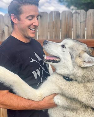 Image post by @hugo_themalamute on Instagram
