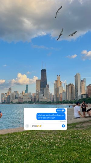 Video post by @explorechicago on TikTok