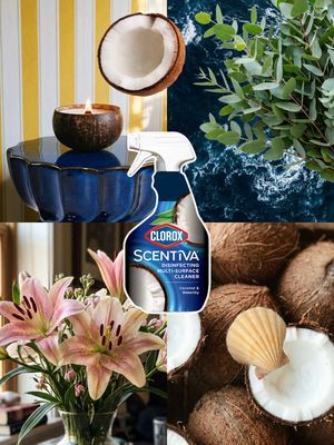 Image post by @clorox on Instagram