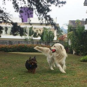 Image post by @mikethewhitegolden on Instagram