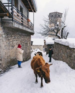 Image post by @kirstenalana on Instagram