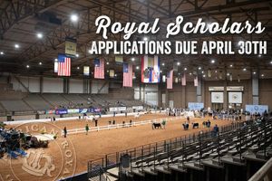 Image post by @american_royal on Instagram