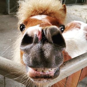 Image post by @sandiegozoo on Instagram