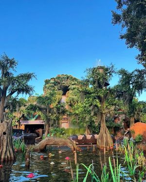 Image post by @waltdisneyworld on Instagram