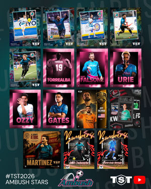 Image post by @stlouisambush on Instagram