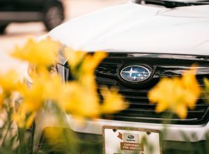 Image post by @schompsubaru on Instagram