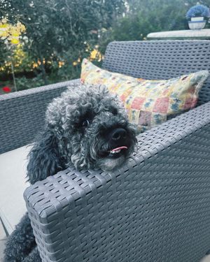 Image post by @kordelia on Instagram