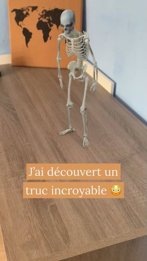Video post by @elouen_la_baleine on Instagram
