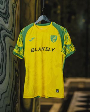 Video post by @norwichcityfc on TikTok