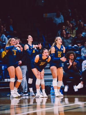 Image post by @toledo_vb on Instagram