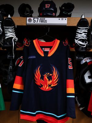 Image post by @firebirds on Instagram