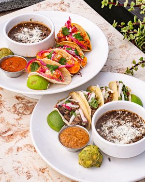 Image post by @thevigaz on Instagram