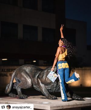 Image post by @pvamu on Instagram