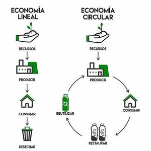 Image post by @operitoambiental on Instagram