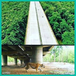 Image post by @operitoambiental on Instagram