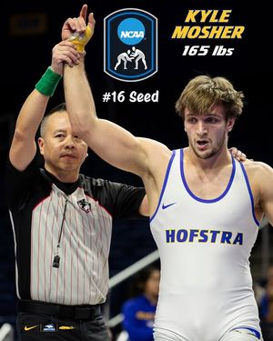 Image post by @hofstrawrest on Instagram