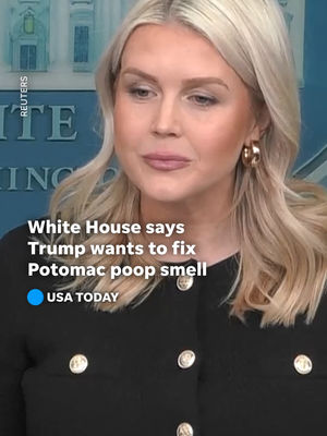 Video post by @usatoday on TikTok