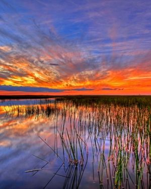 Image post by @usgs on Instagram