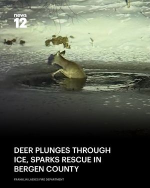 Image post by @news12nj on Instagram
