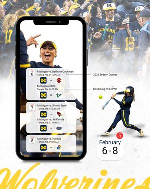 Image post by @umichsoftball on Instagram