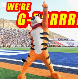 Image post by @TonyTheTigerSunBowl on Facebook