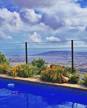 Image post by @_oscar_manzano_ on Instagram