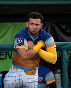 Image post by @biscuitbaseball on Instagram