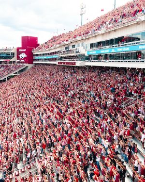 Image post by @RazorbackFB on Twitter