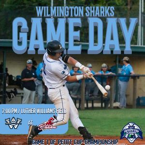 Image post by @ilmsharks on Instagram