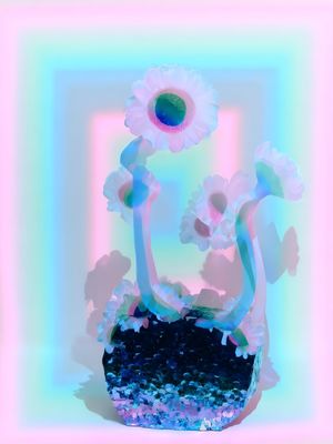 Image post by @trendevolve on Instagram