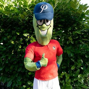 Image post by @picklesbaseball on Instagram