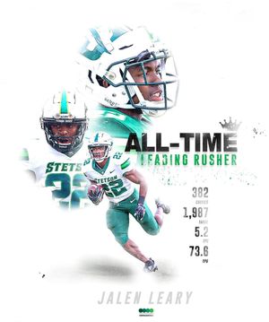 Image post by @sbastetsonu on Instagram