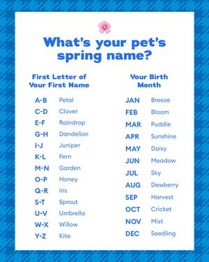 Image post by @petsmart on Instagram