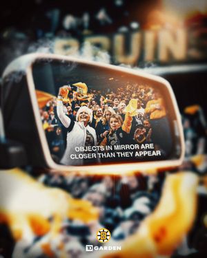 Video post by @tdgarden on TikTok