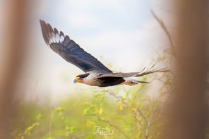 Image post by @phphotohd on Instagram