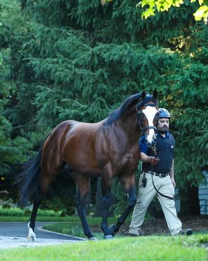 Image post by @coolmoreamerica on Instagram