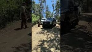 Video post by @abc15 on YouTube
